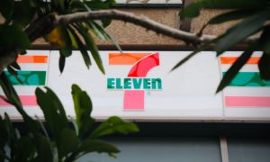 green and white signage on brown tree branch