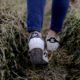 person walking on grass